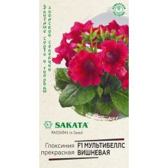 Глоксиния Мультибеллс вишневая F1 гранул. 4 шт. пробирка Саката серия Эксклюзив