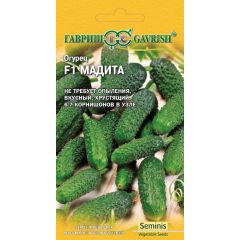 Огурец Мадита F1 5 шт. (Голландия)