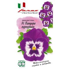 Виола Пандора пурпурная F1 Виттрока (Анютины глазки)* 5 шт. серия Фарао