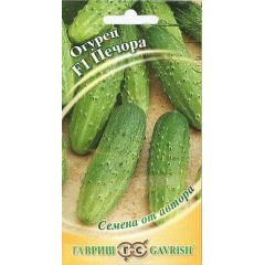 Огурец Печора 10 шт. корнишон автор.
