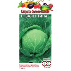 Капуста белокоч. Валентина F1 10 шт. (для хранения)