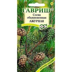 Сосна обыкновенная Ажурная* 0,2 г