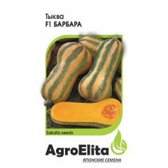 Тыква Барбара F1, мускатная 5 шт. (Саката) Агроэлита