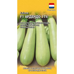 Кабачок Ардендо 174 F1 5 шт. (Голландия)