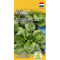 Шпинат Пума F1 1 г (Голландия)
