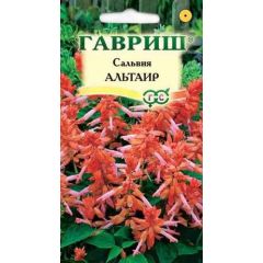 Сальвия Альтаир*, карликовая 4 шт.