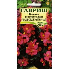 Бегония Аккорд Пурпурная F1 вечноцв. гранул. 4 шт. пробирка