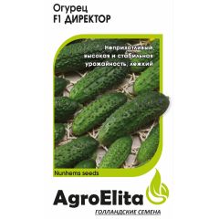 Огурец Директор F1 5 шт. партен. (Нунемс) Агроэлита