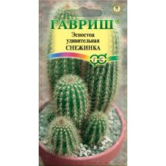 Эспостоа удивительная Снежинка 4 шт.