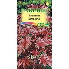 Клещевина Красная  5 шт.