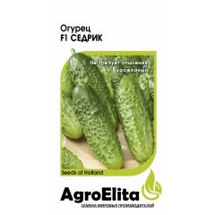 Огурец Седрик F1 5 шт. партен. (Энза Заден) Агроэлита