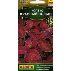 Колеус блюме Красный вельвет 10 шт. Аэлита