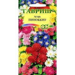 Астра Пиноккио, однолетняя (смесь) 0,3 г