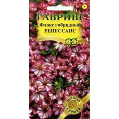 Флокс Ренессанс гибридный* 8 шт. серия Элитная клумба