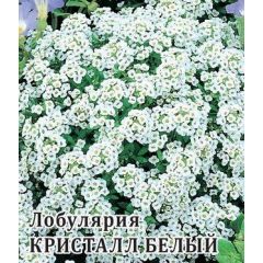 Лобулярия Кристалл Белый 100 шт.* сер. Профи