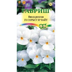 Виола Сорбет XP Вайт F1 рогатая (Анютины глазки)* 4 шт.