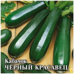Кабачок Черный красавец  25,0 г