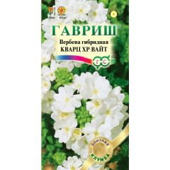 Вербена Кварц XP Вайт, гибридная* 4 шт. серия Элитная клумба