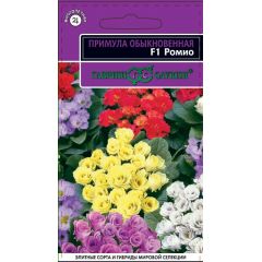 Примула Ромио F1 махровая* 3 шт. серия Эксклюзив