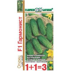 Огурец Гармонист F1 серия 1+1/20 шт. корнишон автор.