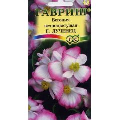 Бегония Лученец F1 вечноцв. гранул. 5 шт. пробирка
