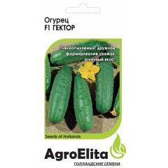 Огурец Гектор F1 10 шт. пчел. (Нунемс) Агроэлита