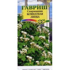 Спармания комнатная Липка* 3 шт