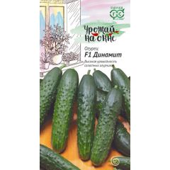 Огурец Динамит F1 10 шт. серия Урожай на окне