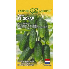 Огурец Оскар F1 5 шт. (Голландия)