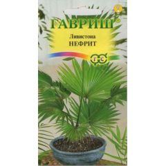 Ливистона китайская Нефрит 3 шт.