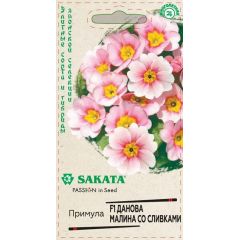 Примула Данова малина со сливками F1, бесстебельн. 5 шт. Саката
