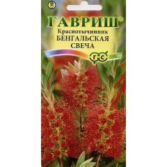 Красивотычинник (Каллистемон) Бенгальская свеча 0,05 г