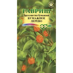 Бруссонетия Бумажное дерево* 3 шт.