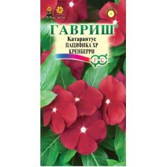 Катарантус Пацифика XP Кренберри 5 шт.* Элитная клумба
