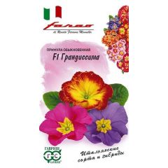 Примула Грандиссима F1  (обыкновенная грунтовая) смесь 5 шт. серия Фарао