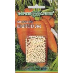 Морковь гранулир. Шантенэ 2461 300 шт. гель