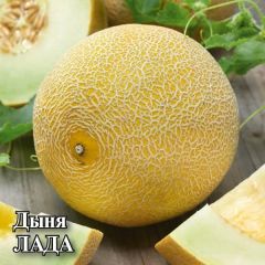 Дыня Лада 25,0 г