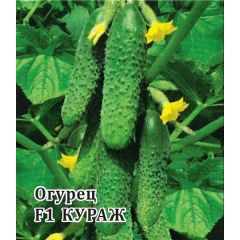 Огурец Кураж F1 250 шт.