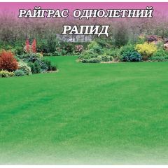 Райграс однолетний Рапид 0,5 кг