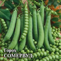 Горох Сомервуд 50,0 г (Голландия)