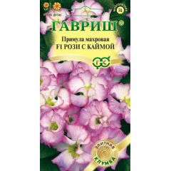 Примула Роззи с каймой, махровая* 3шт. серия Элитная клумба