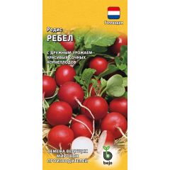 Редис Ребел 1,0 г (Голландия)