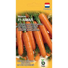 Морковь Навал F1 150 шт. (Голландия)