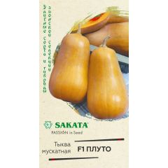 Тыква Плуто, мускатная F1 3 шт. (Саката)