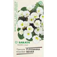Примула Розанна белая F1 махровая* 4 шт. Саката серия Эксклюзив