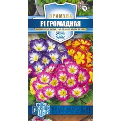 Примула Громадная, обыкновенная, смесь F1 5 шт. серия Русский богатырь