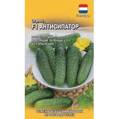 Огурец Антисипатор F1 5 шт. (Голландия)