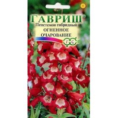 Пенстемон гибридный Огненное очарование* 0,1 г