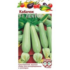 Кабачок Лектор F1 5 шт. (Германия)