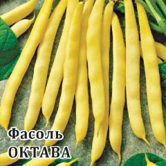 Фасоль Октава 100,0 г